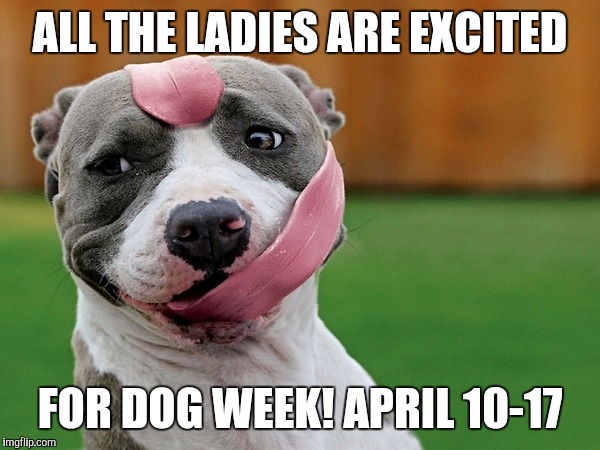 Mark your calenders! Dog week starts tomorrow!!!  | ALL THE LADIES ARE EXCITED; FOR DOG WEEK! APRIL 10-17 | image tagged in dog tongue,dog week,promo | made w/ Imgflip meme maker
