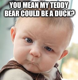 Skeptical Baby Meme | YOU MEAN MY TEDDY BEAR COULD BE A DUCK? | image tagged in memes,skeptical baby | made w/ Imgflip meme maker