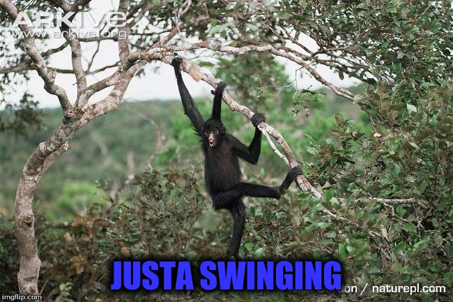 JUSTA SWINGING | made w/ Imgflip meme maker
