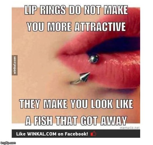 .                                                                                                                                                              . | image tagged in lip ring  more attractive   do not,look like | made w/ Imgflip meme maker