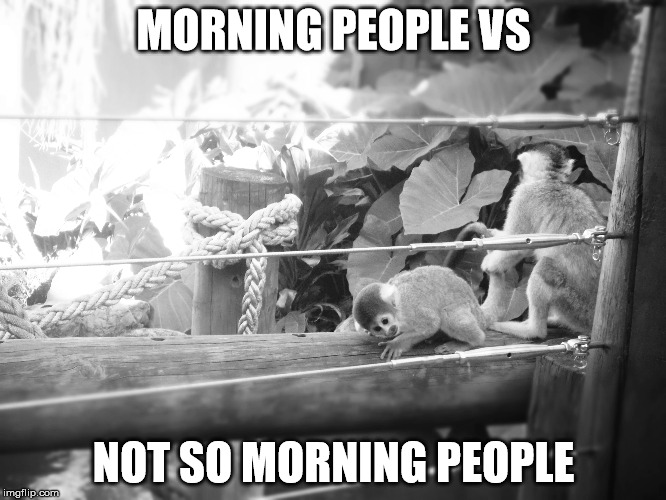 Morning people | MORNING PEOPLE VS; NOT SO MORNING PEOPLE | image tagged in funny,animals,morning people,one does not simply | made w/ Imgflip meme maker