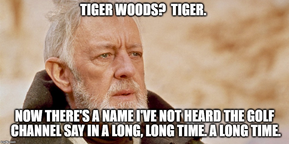 Star Wars Obi-Wan Tiger Woods | TIGER WOODS?  TIGER. NOW THERE'S A NAME I'VE NOT HEARD THE GOLF CHANNEL SAY IN A LONG, LONG TIME. A LONG TIME. | image tagged in star wars,obi wan kenobi,tiger woods,golf,pga tour,golf channel | made w/ Imgflip meme maker