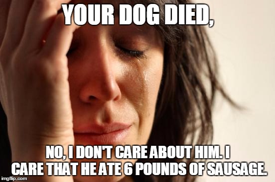 First World Problems | YOUR DOG DIED, NO, I DON'T CARE ABOUT HIM. I CARE THAT HE ATE 6 POUNDS OF SAUSAGE. | image tagged in memes,first world problems | made w/ Imgflip meme maker