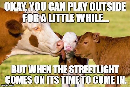 Till the cows come home. |  OKAY, YOU CAN PLAY OUTSIDE FOR A LITTLE WHILE... BUT WHEN THE STREETLIGHT COMES ON ITS TIME TO COME IN. | image tagged in cows,kids,mom,streetlight | made w/ Imgflip meme maker