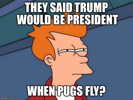Futurama Fry Meme | THEY SAID TRUMP WOULD BE PRESIDENT WHEN PUGS FLY? | image tagged in memes,futurama fry | made w/ Imgflip meme maker