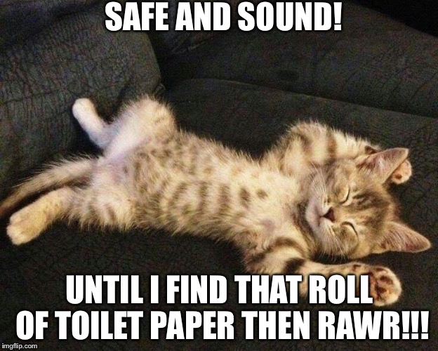 Kitty mischief  | SAFE AND SOUND! UNTIL I FIND THAT ROLL OF TOILET PAPER THEN RAWR!!! | image tagged in gangsta-kitty | made w/ Imgflip meme maker