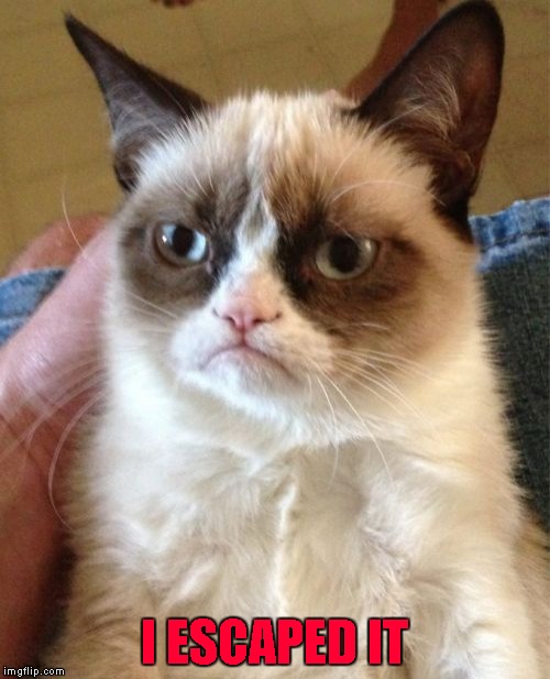 Grumpy Cat Meme | I ESCAPED IT | image tagged in memes,grumpy cat | made w/ Imgflip meme maker