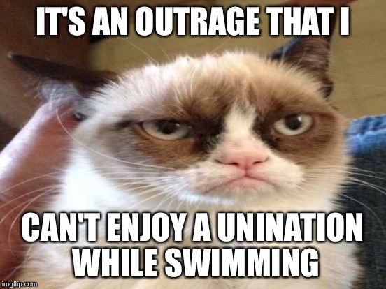 IT'S AN OUTRAGE THAT I CAN'T ENJOY A UNINATION WHILE SWIMMING | made w/ Imgflip meme maker