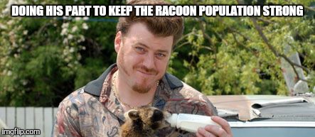 DOING HIS PART TO KEEP THE RACOON POPULATION STRONG | made w/ Imgflip meme maker