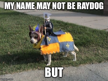 Dog Calvary  | MY NAME MAY NOT BE RAYDOG BUT | image tagged in dog calvary | made w/ Imgflip meme maker