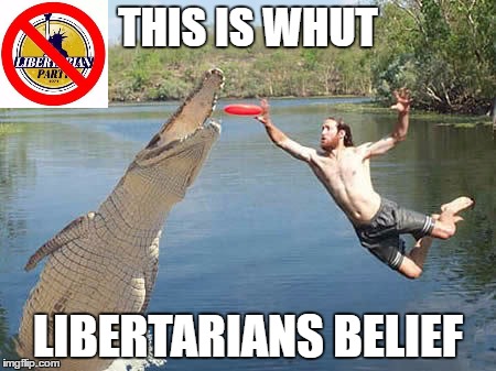 This Is What Libertarians Believe Imgflip