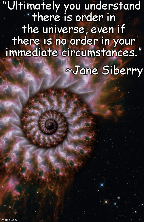 Fractal Universe | “Ultimately you understand there is order in the universe, even if there is no order in your immediate circumstances.”; ~Jane Siberry | image tagged in jane siberry,order,chaos,fibonacci,consciousness | made w/ Imgflip meme maker