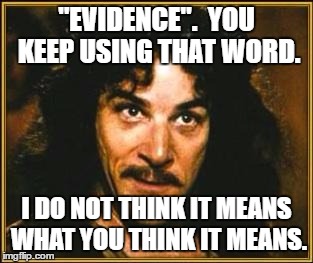 princess bride | "EVIDENCE".  YOU KEEP USING THAT WORD. I DO NOT THINK IT MEANS WHAT YOU THINK IT MEANS. | image tagged in princess bride,evidence | made w/ Imgflip meme maker