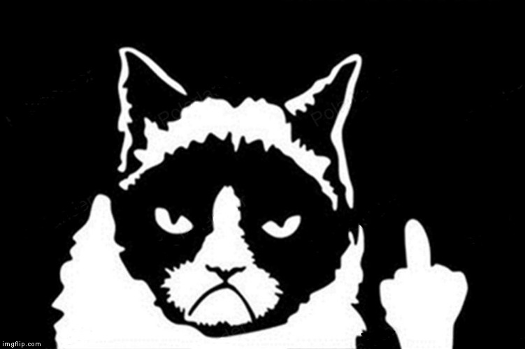 Grumpy Cat Flipping The Bird | ., | image tagged in grumpy cat flipping the bird | made w/ Imgflip meme maker