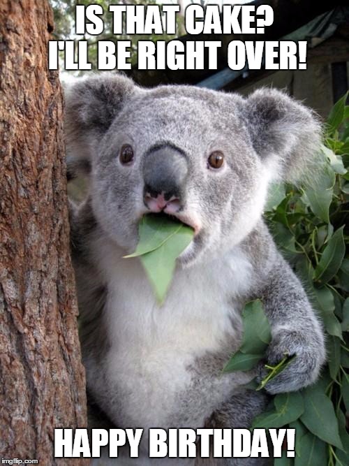 Surprised Koala Meme | IS THAT CAKE? I'LL BE RIGHT OVER! HAPPY BIRTHDAY! | image tagged in memes,surprised koala | made w/ Imgflip meme maker