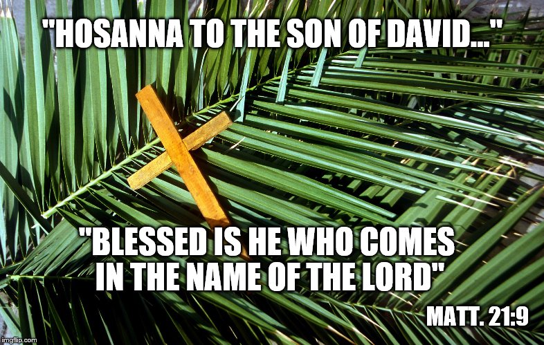 Not a Happy Palm Sunday for Christians in Egypt. | "HOSANNA TO THE SON OF DAVID..."; "BLESSED IS HE WHO COMES IN THE NAME OF THE LORD"; MATT. 21:9 | image tagged in memes,christian | made w/ Imgflip meme maker