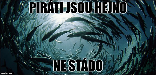  PIRÁTI JSOU HEJNO; NE STÁDO | made w/ Imgflip meme maker