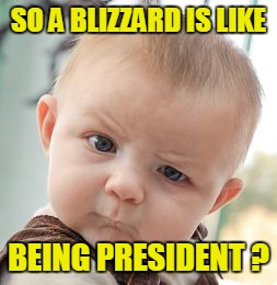 Skeptical Baby Meme | SO A BLIZZARD IS LIKE BEING PRESIDENT ? | image tagged in memes,skeptical baby | made w/ Imgflip meme maker