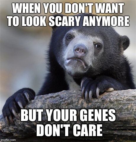 Confession Bear Meme | WHEN YOU DON'T WANT TO LOOK SCARY ANYMORE; BUT YOUR GENES DON'T CARE | image tagged in memes,confession bear | made w/ Imgflip meme maker