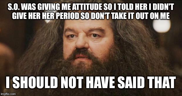 Hagrid | S.O. WAS GIVING ME ATTITUDE SO I TOLD HER I DIDN'T GIVE HER HER PERIOD SO DON'T TAKE IT OUT ON ME; I SHOULD NOT HAVE SAID THAT | image tagged in hagrid | made w/ Imgflip meme maker