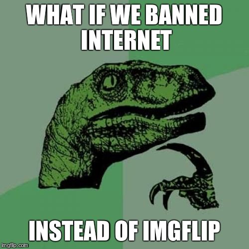 Philosoraptor Meme | WHAT IF WE BANNED INTERNET INSTEAD OF IMGFLIP | image tagged in memes,philosoraptor | made w/ Imgflip meme maker