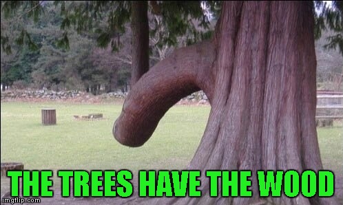 THE TREES HAVE THE WOOD | made w/ Imgflip meme maker