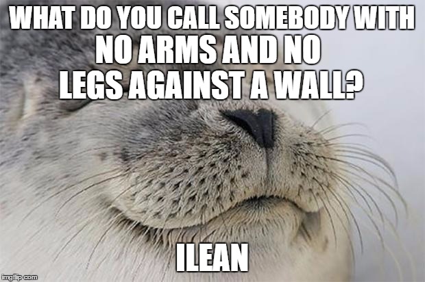 Satisfied Seal | WHAT DO YOU CALL SOMEBODY WITH; NO ARMS AND NO LEGS AGAINST A WALL? ILEAN | image tagged in memes,satisfied seal | made w/ Imgflip meme maker