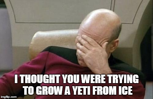 Captain Picard Facepalm Meme | I THOUGHT YOU WERE TRYING TO GROW A YETI FROM ICE | image tagged in memes,captain picard facepalm | made w/ Imgflip meme maker