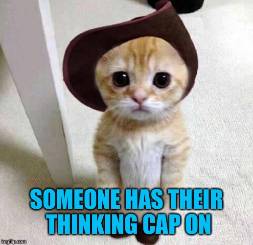 SOMEONE HAS THEIR THINKING CAP ON | made w/ Imgflip meme maker