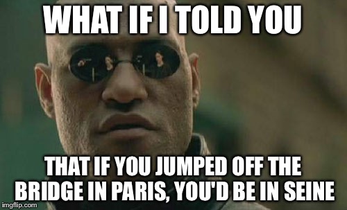Matrix Morpheus Meme | WHAT IF I TOLD YOU; THAT IF YOU JUMPED OFF THE BRIDGE IN PARIS, YOU'D BE IN SEINE | image tagged in memes,matrix morpheus | made w/ Imgflip meme maker
