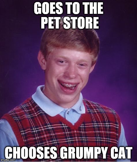 Bad Luck Brian Meme | GOES TO THE PET STORE; CHOOSES GRUMPY CAT | image tagged in memes,bad luck brian | made w/ Imgflip meme maker