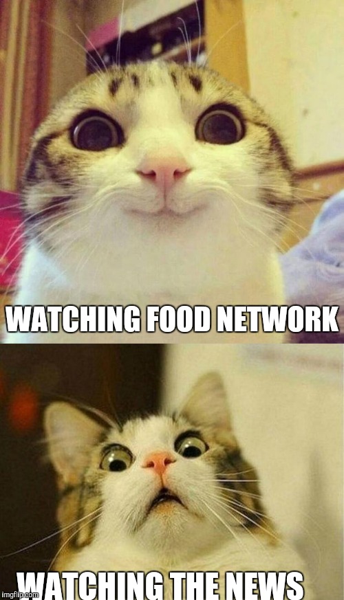 It's the same cat! So talented!  | WATCHING FOOD NETWORK; WATCHING THE NEWS | image tagged in smiling cat,scared cat | made w/ Imgflip meme maker