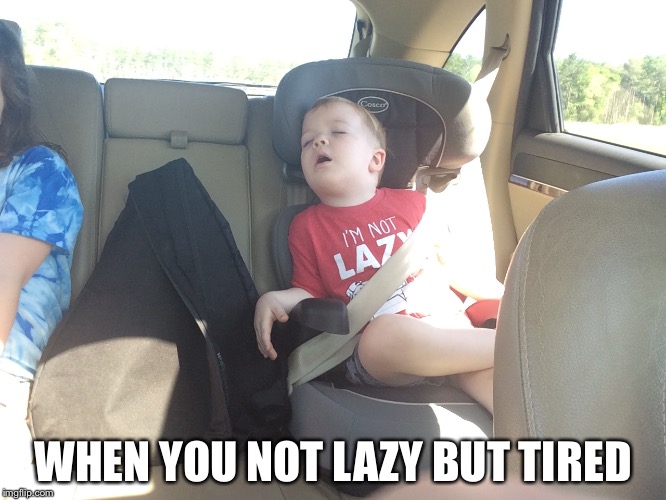 WHEN YOU NOT LAZY BUT TIRED | image tagged in funny | made w/ Imgflip meme maker