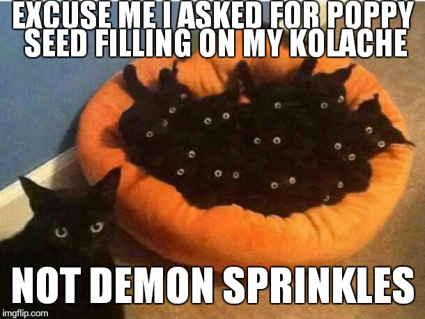 If you're not from texas you probably are lost right now | EXCUSE ME I ASKED FOR POPPY SEED FILLING ON MY KOLACHE; NOT DEMON SPRINKLES | image tagged in from hell | made w/ Imgflip meme maker