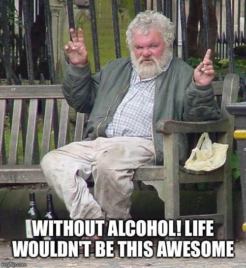 WITHOUT ALCOHOL! LIFE WOULDN'T BE THIS AWESOME | made w/ Imgflip meme maker