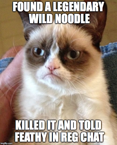 Grumpy Cat Meme | FOUND A LEGENDARY WILD NOODLE; KILLED IT AND TOLD FEATHY IN REG CHAT | image tagged in memes,grumpy cat | made w/ Imgflip meme maker