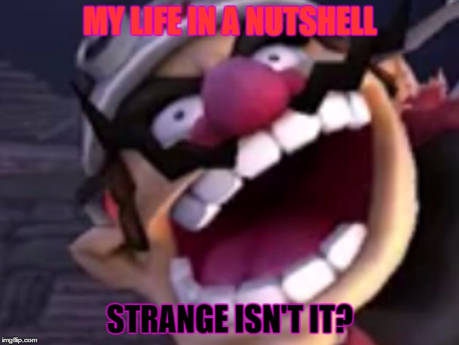 Wario | MY LIFE IN A NUTSHELL; STRANGE ISN'T IT? | image tagged in wario | made w/ Imgflip meme maker