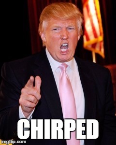 Donald Trump | CHIRPED | image tagged in donald trump | made w/ Imgflip meme maker
