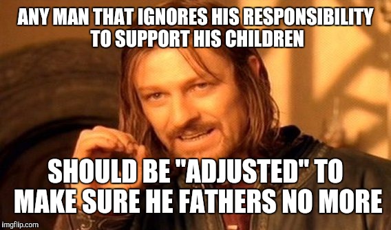 One Does Not Simply Meme | ANY MAN THAT IGNORES HIS RESPONSIBILITY TO SUPPORT HIS CHILDREN SHOULD BE "ADJUSTED" TO MAKE SURE HE FATHERS NO MORE | image tagged in memes,one does not simply | made w/ Imgflip meme maker