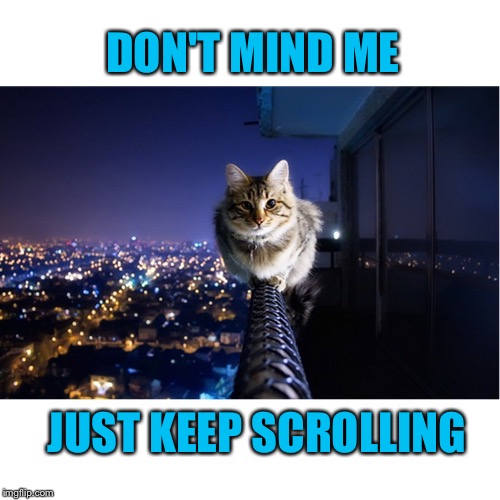 DON'T MIND ME; JUST KEEP SCROLLING | image tagged in memes,sweet jesus,cat | made w/ Imgflip meme maker
