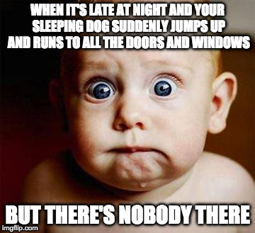 scared baby | WHEN IT'S LATE AT NIGHT AND YOUR SLEEPING DOG SUDDENLY JUMPS UP AND RUNS TO ALL THE DOORS AND WINDOWS; BUT THERE'S NOBODY THERE | image tagged in scared baby | made w/ Imgflip meme maker