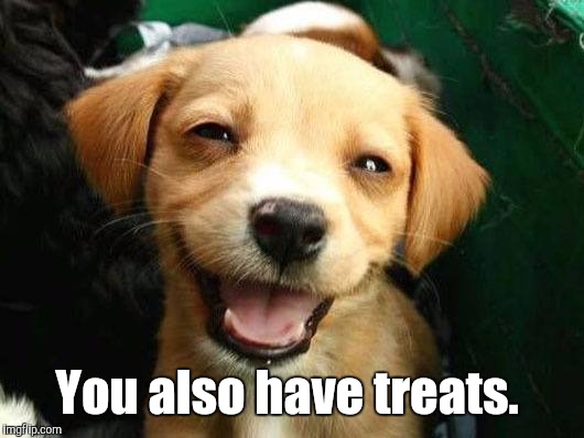 Dog Smiling | You also have treats. | image tagged in dog smiling | made w/ Imgflip meme maker