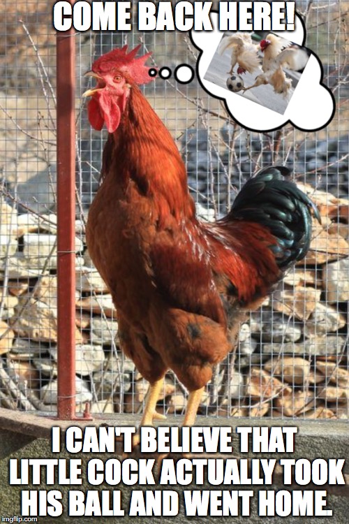COME BACK HERE! I CAN'T BELIEVE THAT LITTLE COCK ACTUALLY TOOK HIS BALL AND WENT HOME. | made w/ Imgflip meme maker