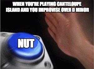 Blank Nut Button Meme | WHEN YOU'RE PLAYING CANTELOUPE ISLAND AND YOU IMPROVISE OVER D MINOR; NUT | image tagged in blank nut button | made w/ Imgflip meme maker