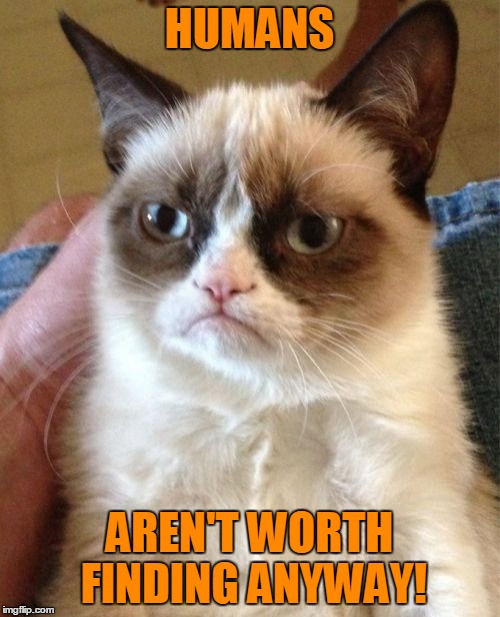 Grumpy Cat Meme | HUMANS AREN'T WORTH FINDING ANYWAY! | image tagged in memes,grumpy cat | made w/ Imgflip meme maker