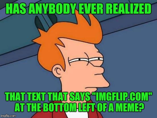 Futurama Fry Meme | HAS ANYBODY EVER REALIZED; THAT TEXT THAT SAYS "IMGFLIP.COM" AT THE BOTTOM LEFT OF A MEME? | image tagged in memes,futurama fry | made w/ Imgflip meme maker