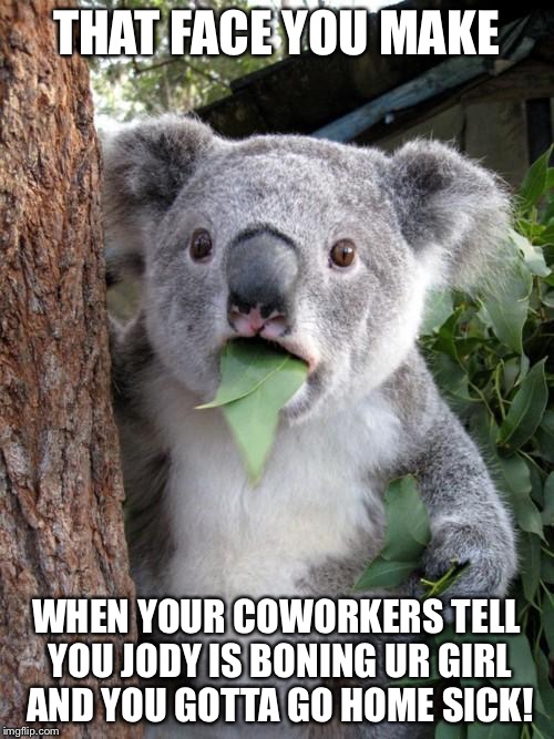 Surprised Koala Meme | THAT FACE YOU MAKE; WHEN YOUR COWORKERS TELL YOU JODY IS BONING UR GIRL AND YOU GOTTA GO HOME SICK! | image tagged in memes,surprised koala | made w/ Imgflip meme maker