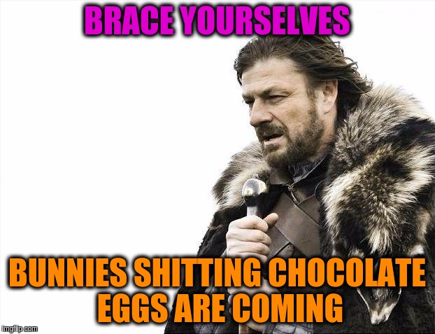 Brace Yourselves X is Coming | BRACE YOURSELVES; BUNNIES SHITTING CHOCOLATE EGGS ARE COMING | image tagged in memes,brace yourselves x is coming | made w/ Imgflip meme maker