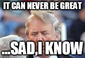 IT CAN NEVER BE GREAT ...SAD,I KNOW | made w/ Imgflip meme maker