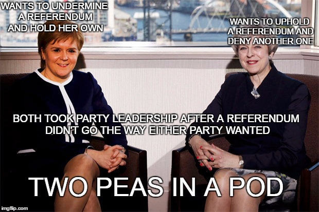 Theresa May Nicola Sturgeon | WANTS TO UNDERMINE A REFERENDUM AND HOLD HER OWN; WANTS TO UPHOLD A REFERENDUM AND DENY ANOTHER ONE; BOTH TOOK PARTY LEADERSHIP AFTER A REFERENDUM DIDN'T GO THE WAY EITHER PARTY WANTED; TWO PEAS IN A POD | image tagged in theresa may nicola sturgeon | made w/ Imgflip meme maker